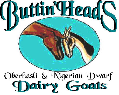 Buttin'Heads Oberhasli and Nigerian Dwarf Dairy Goats